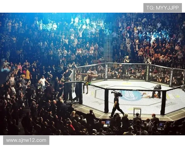 UFC 184全程直播:巅峰对决,见证格斗之夜荣耀时刻